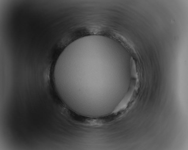 X0000087510221200705181000