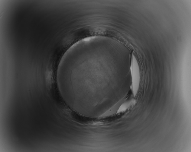 X0000087510224200705181000