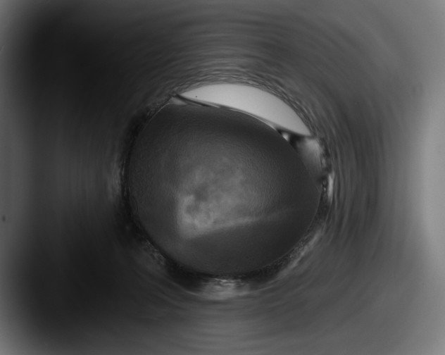 X0000087510227200705181000