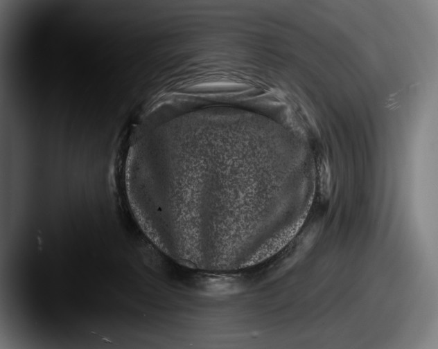 X0000087510229200705181000