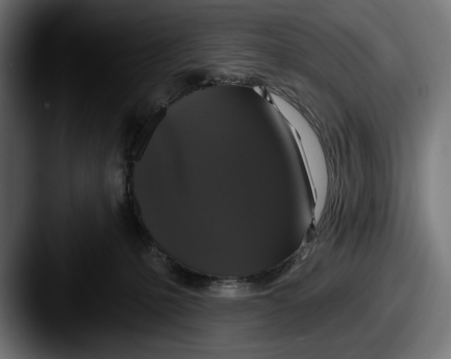 X0000087510231200705181000