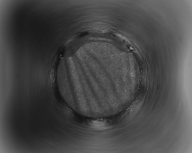 X0000087510232200705181000