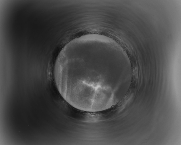 X0000087510234200705181000