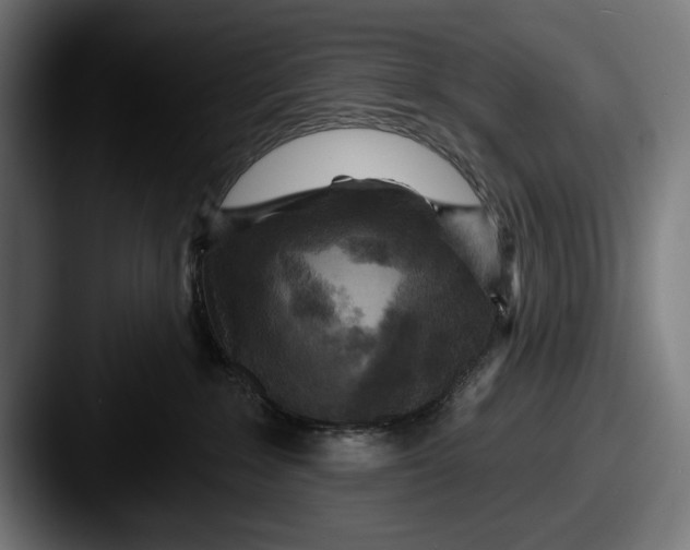 X0000087510235200705181000