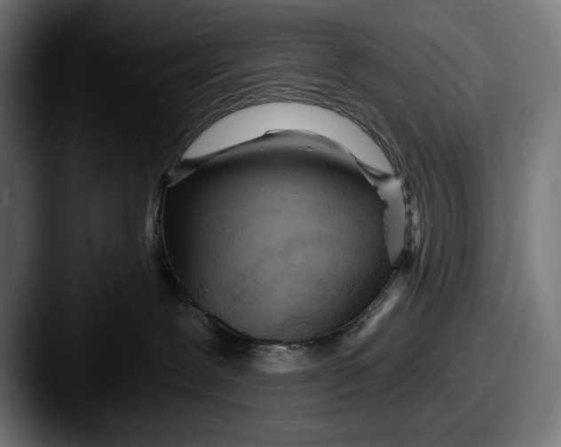 X0000087510239200705181000