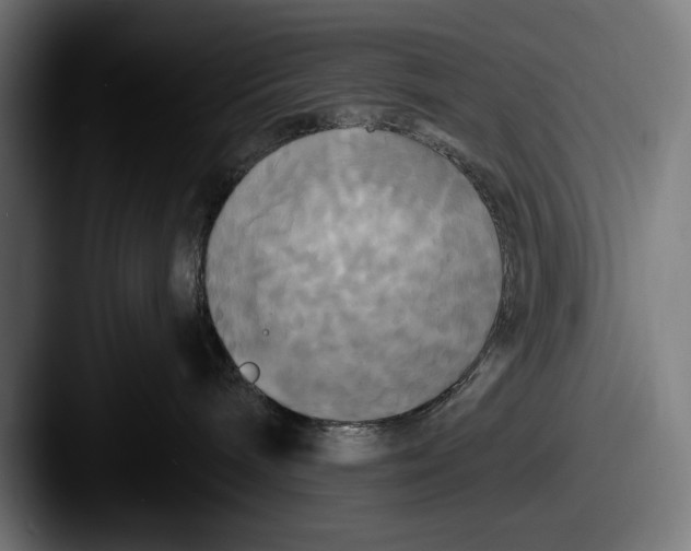 X0000087510240200705181000