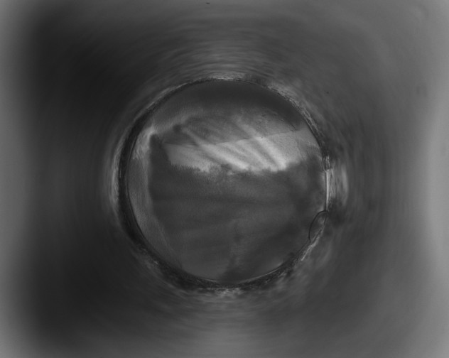 X0000087510243200705180959