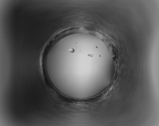 X0000087510244200705180959