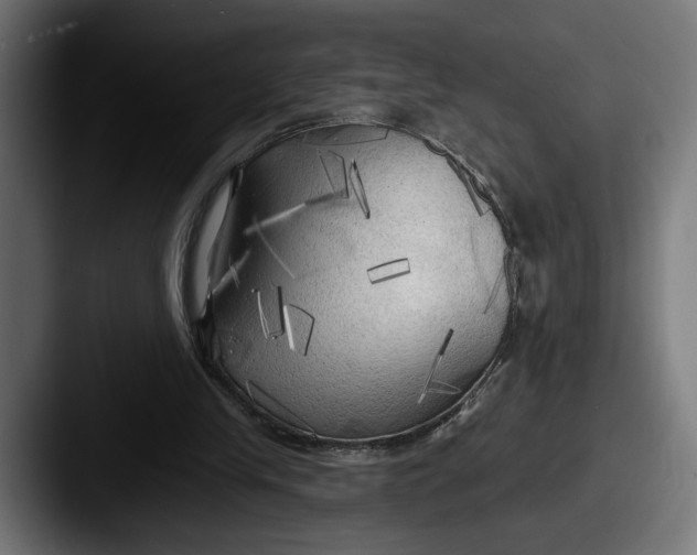 X0000087510245200705180959