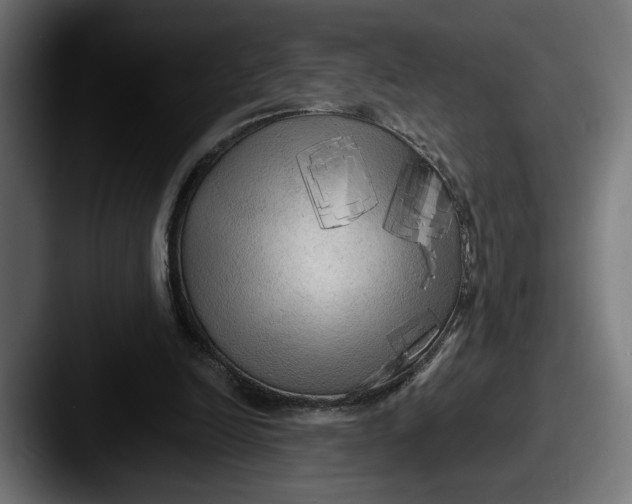 X0000087510246200705180959