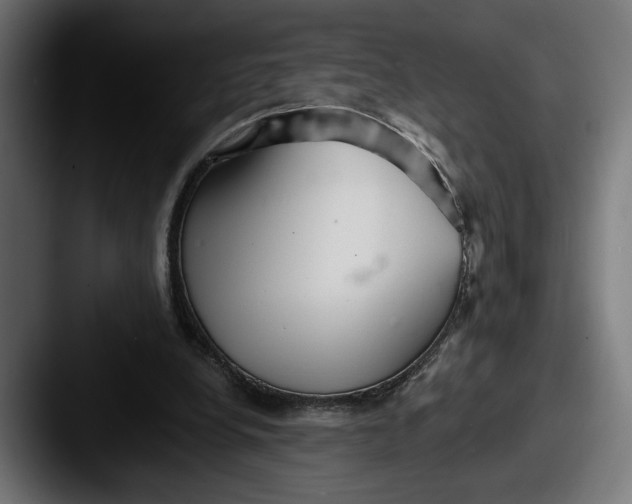 X0000087510248200705180959