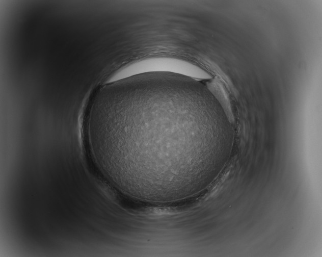 X0000087510250200705180959