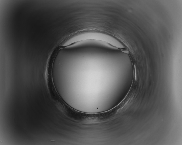 X0000087510252200705180959