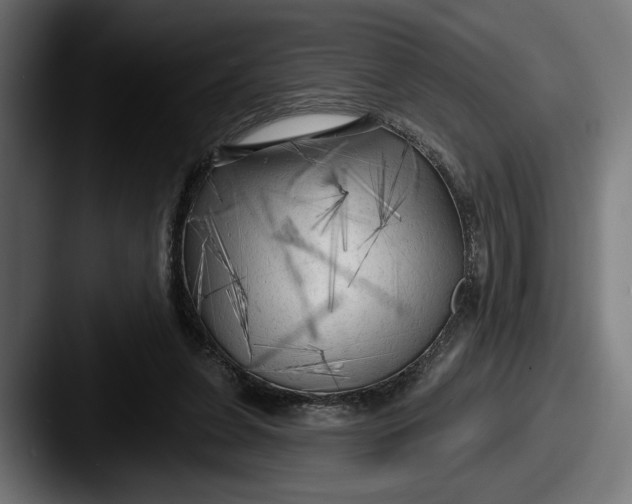 X0000087510255200705180959