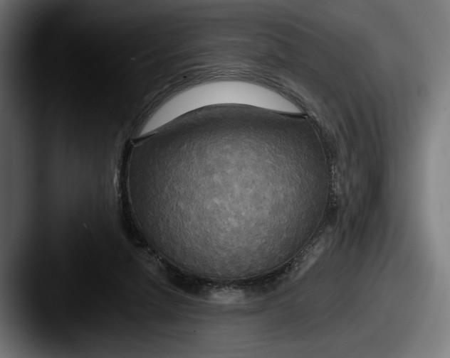 X0000087510258200705180959