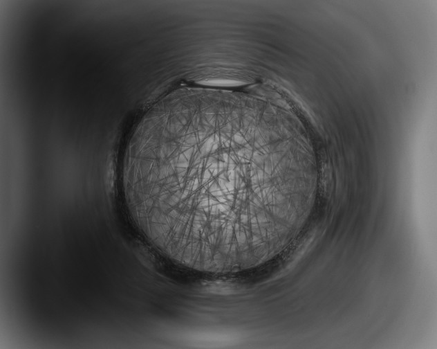 X0000087510259200705180959
