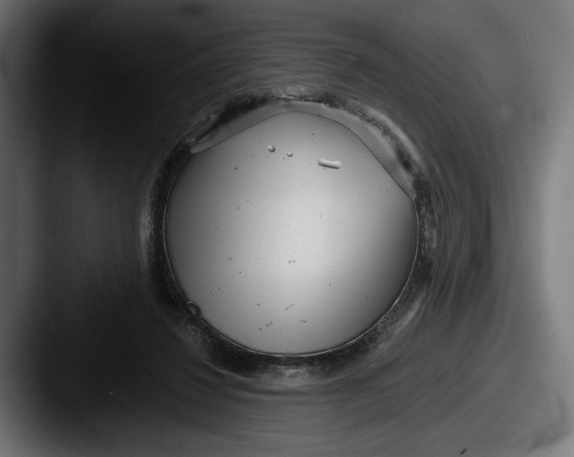 X0000087510260200705180959