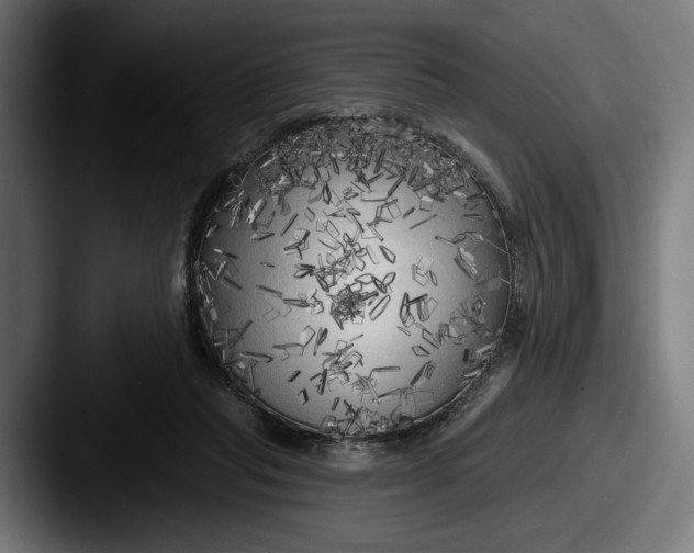 X0000087510261200705180959