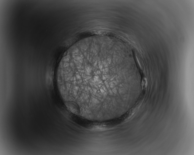 X0000087510263200705180959