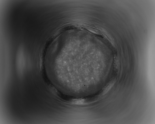 X0000087510266200705180959