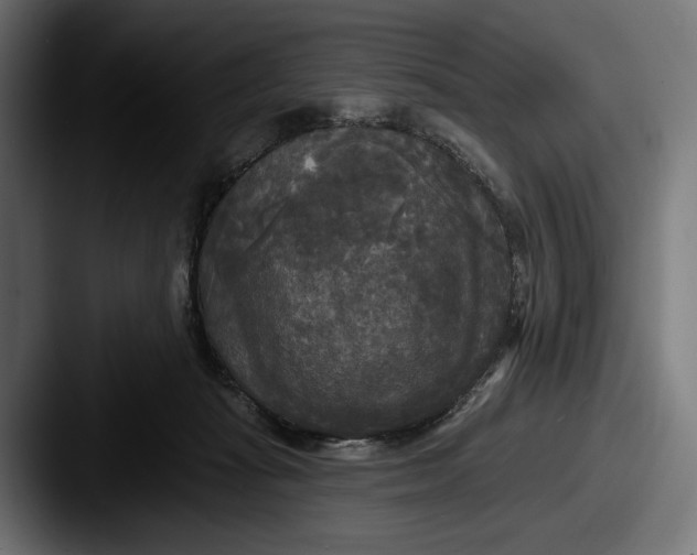 X0000087510269200705180959