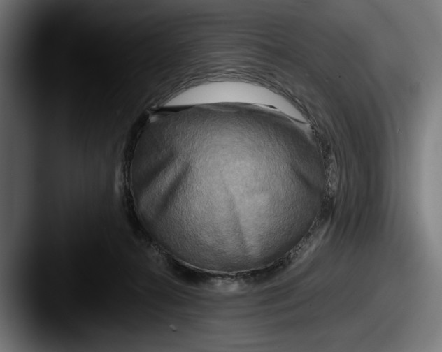 X0000087510272200705181000