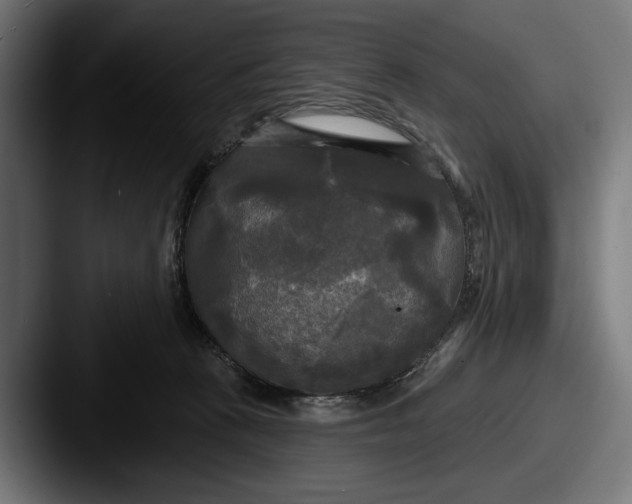 X0000087510273200705181000