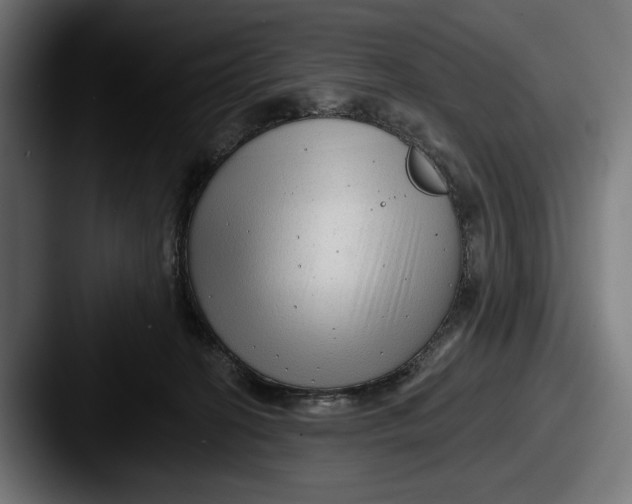 X0000087510274200705181000