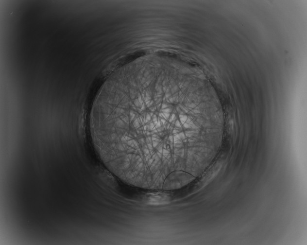 X0000087510275200705181000