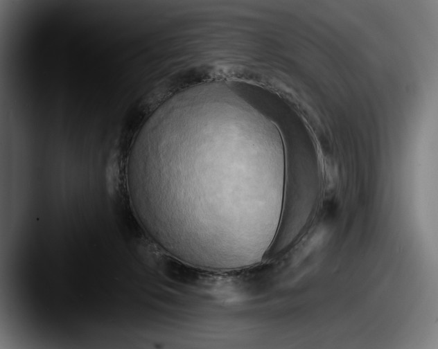 X0000087510276200705181000