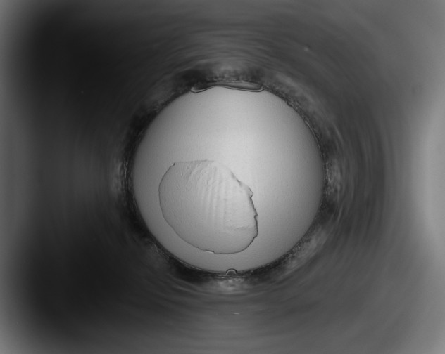 X0000087510278200705181000