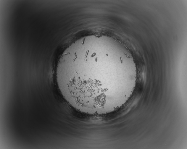 X0000087510279200705181000