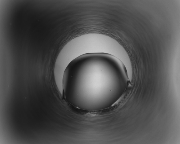 X0000087510280200705181000