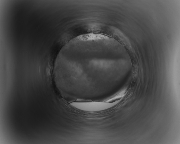 X0000087510281200705181000