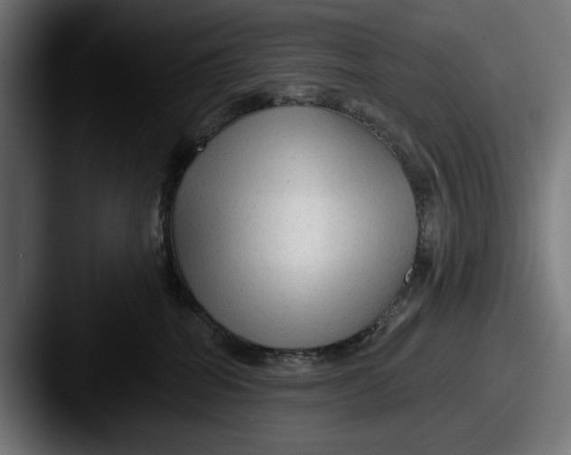 X0000087510282200705181000