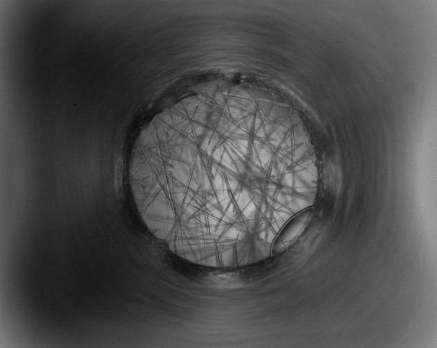 X0000087510283200705181000