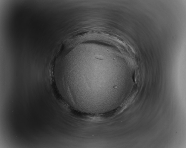 X0000087510284200705181000