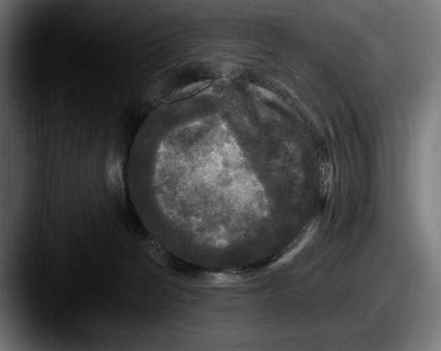 X0000087510286200705181000