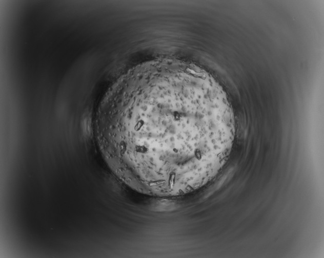 X0000087510287200705181000