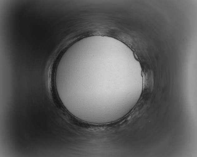 X0000087510291200705180959