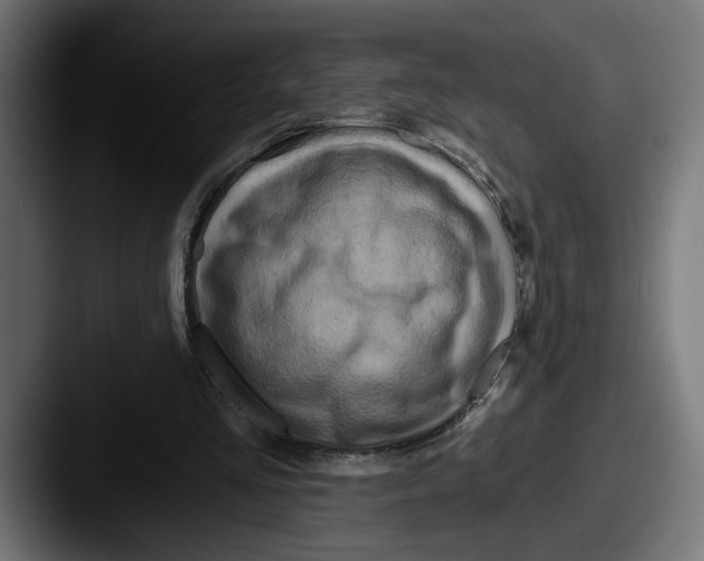 X0000087510293200705180959