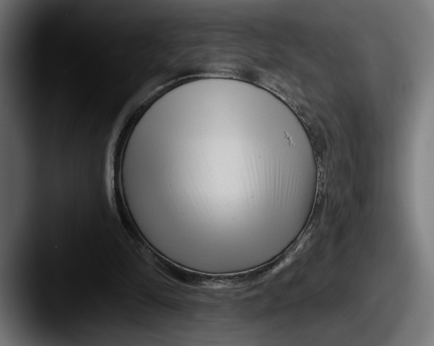 X0000087510294200705180959