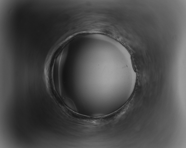 X0000087510295200705180959