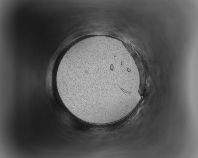 X0000087510296200705180959