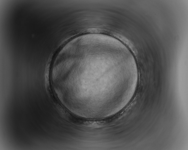 X0000087510297200705180959