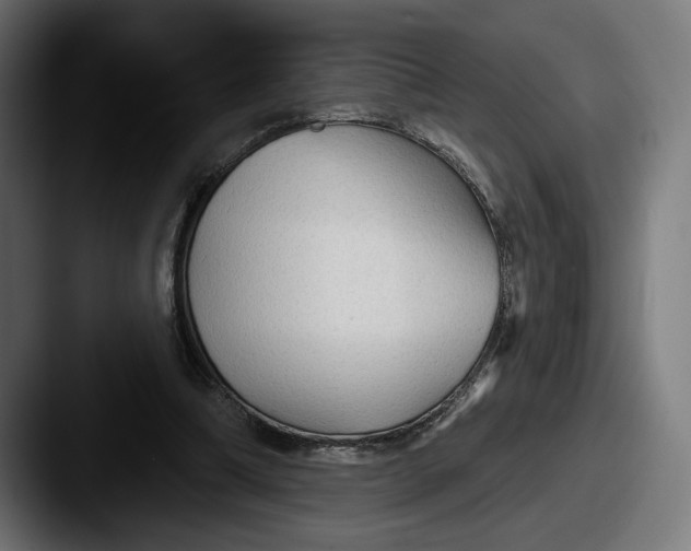 X0000087510298200705180959