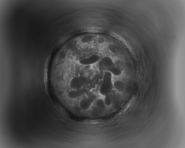 X0000087510299200705180959