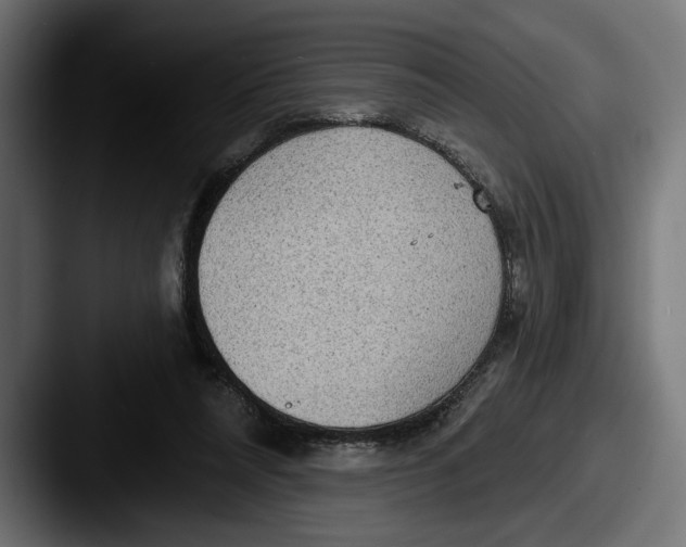 X0000087510304200705180959