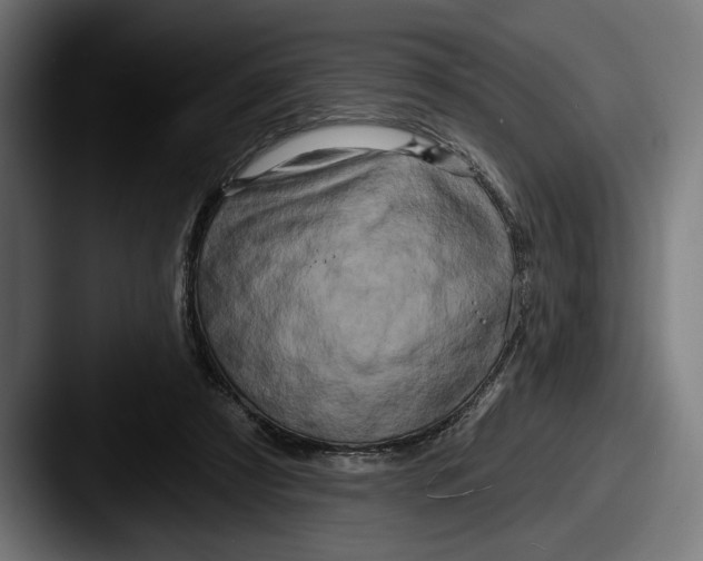 X0000087510305200705180959