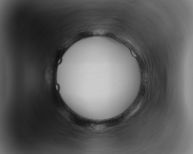 X0000087510311200705180959